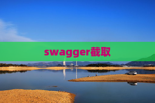 swagger截取